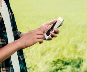 O efeito manada na Comunicação Agro