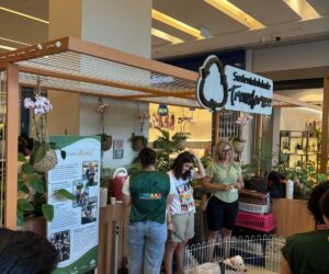 Pantanal Shopping promove programação infantil e ação de adoção pet neste fim de semana