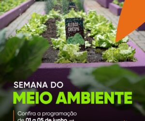 “Semana do Meio Ambiente” promove distribuição de mudas, visitas guiadas e ações de conscientização ambiental